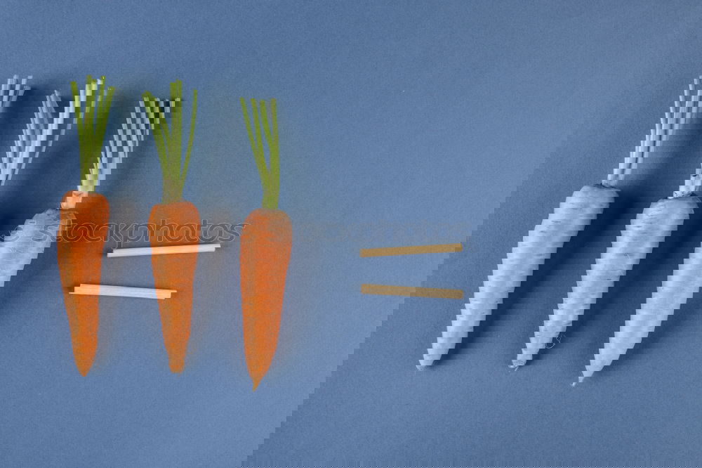 Similar – Image, Stock Photo Carrot cut into slices on blue background. Flat lay.