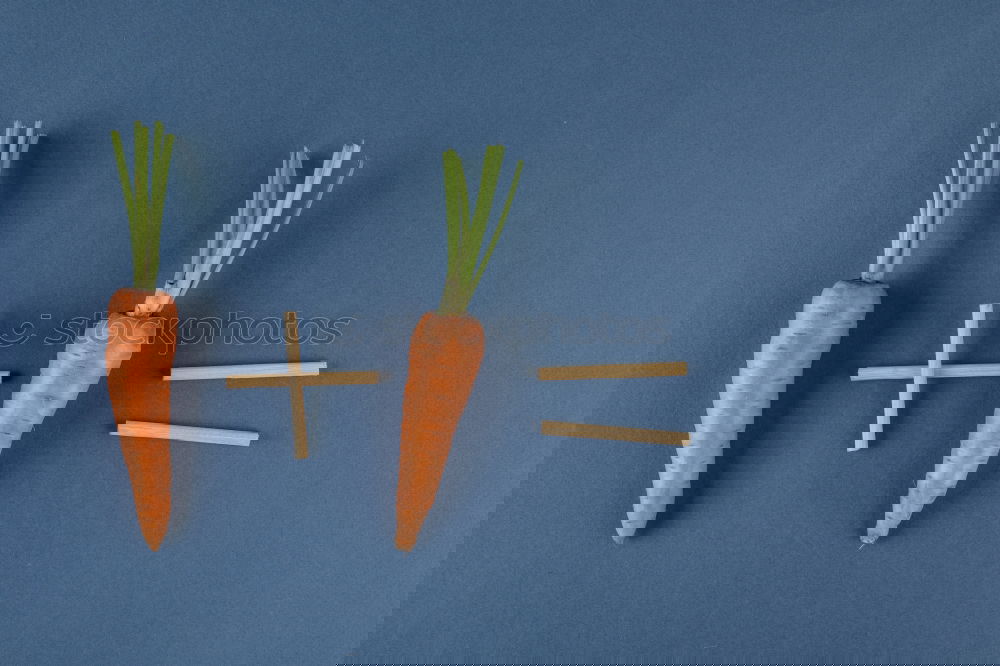 Similar – Image, Stock Photo Carrot cut into slices on blue background. Flat lay.