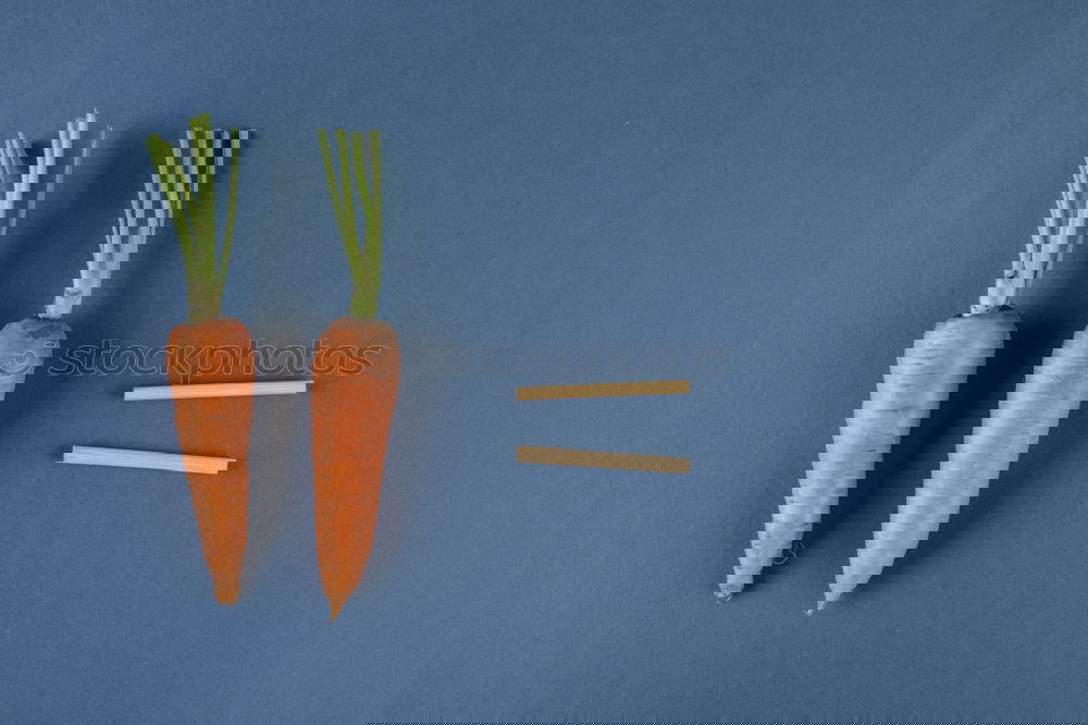 Similar – Image, Stock Photo Carrot cut into slices on blue background. Flat lay.