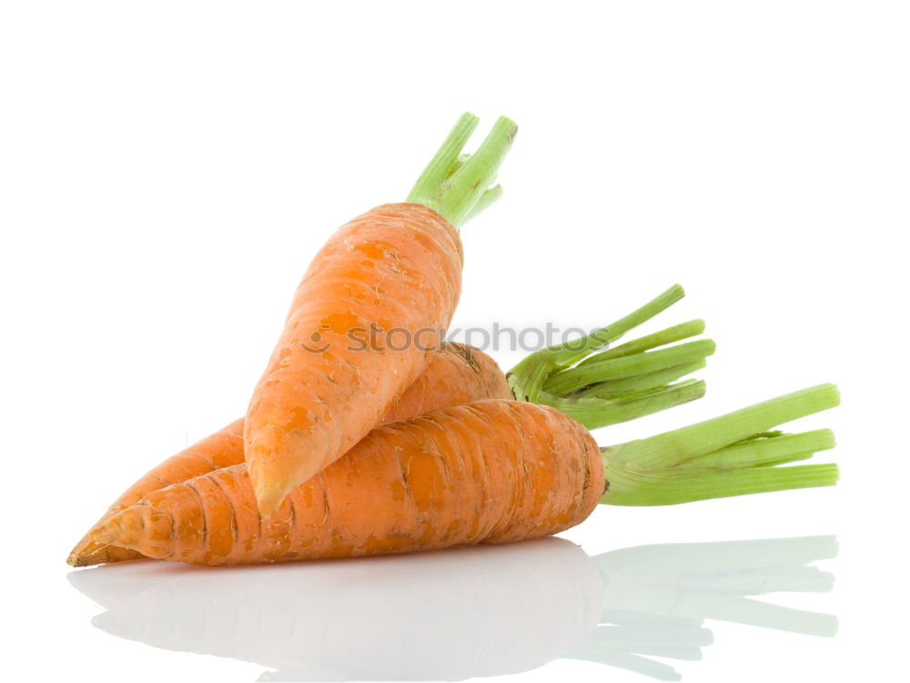 Similar – love of carrots Carrot 2