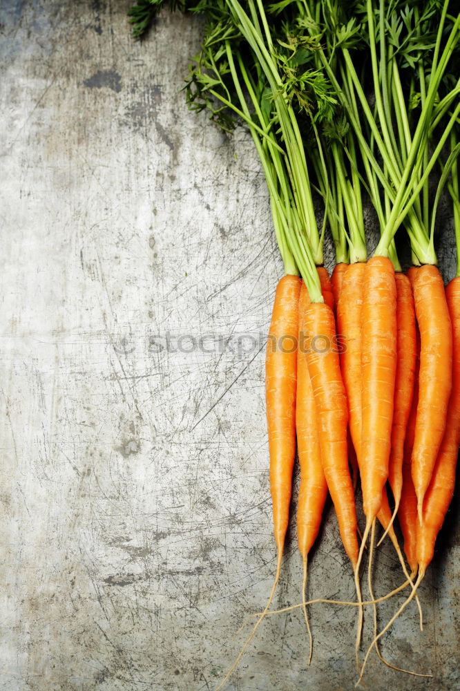 Similar – Image, Stock Photo vitamin A Food Vegetable