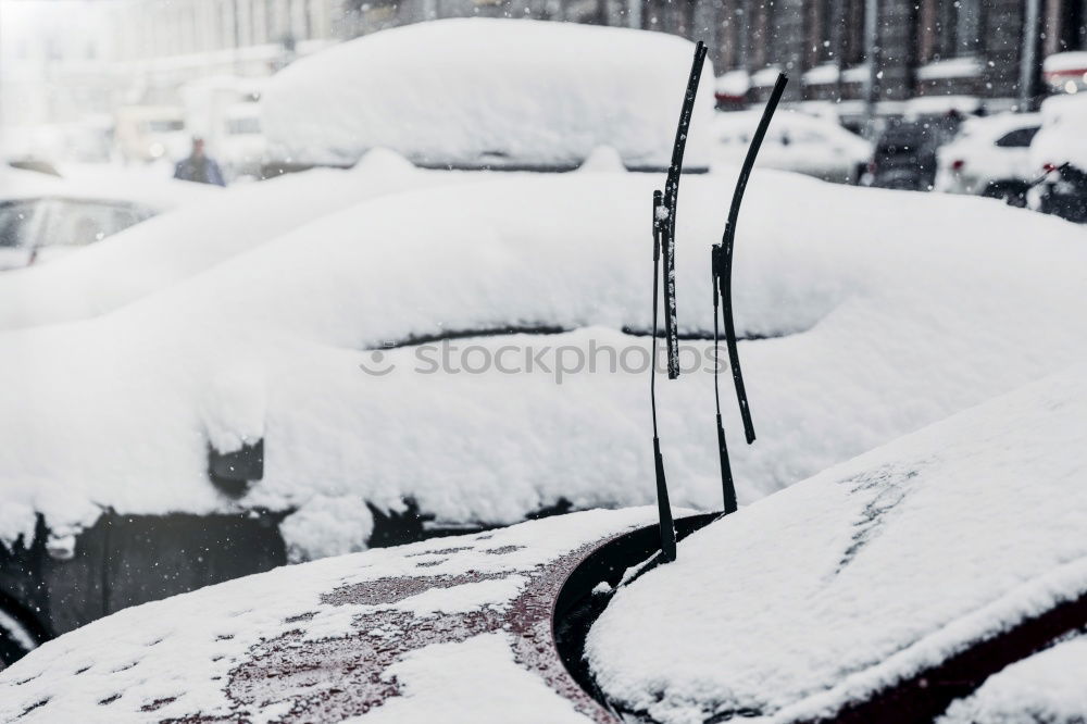 Similar – Foto Bild Schwarzgelbe Geschäftsgrundlage