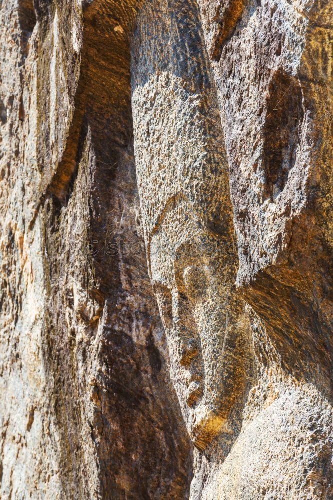 Similar – Image, Stock Photo lichen again Rock