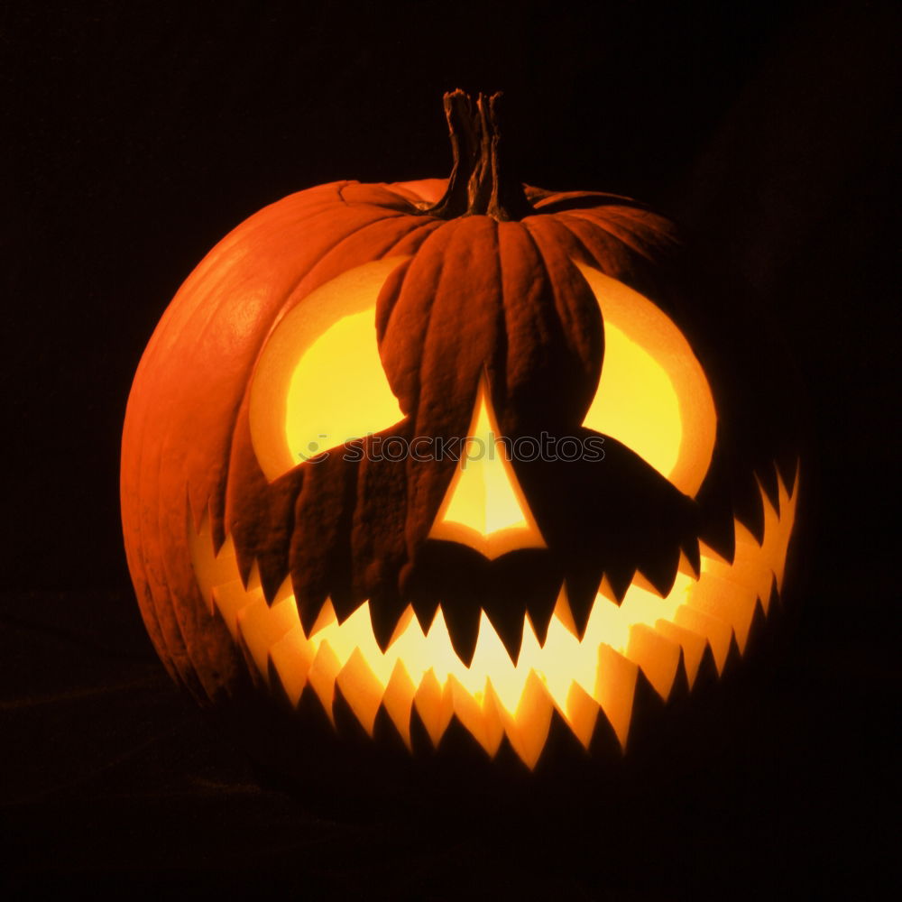 Similar – Image, Stock Photo Shining Pumpkin Face