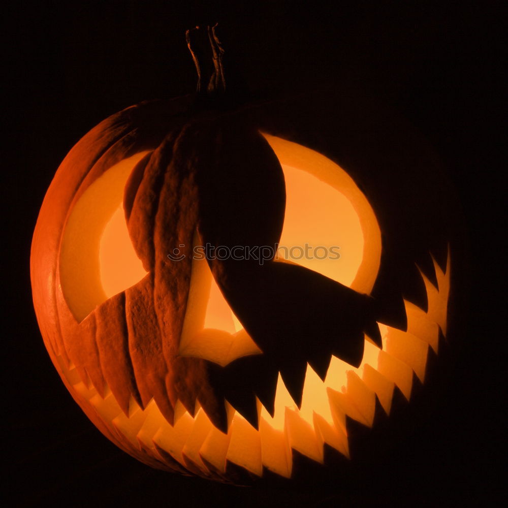 Similar – Image, Stock Photo Shining Pumpkin Face