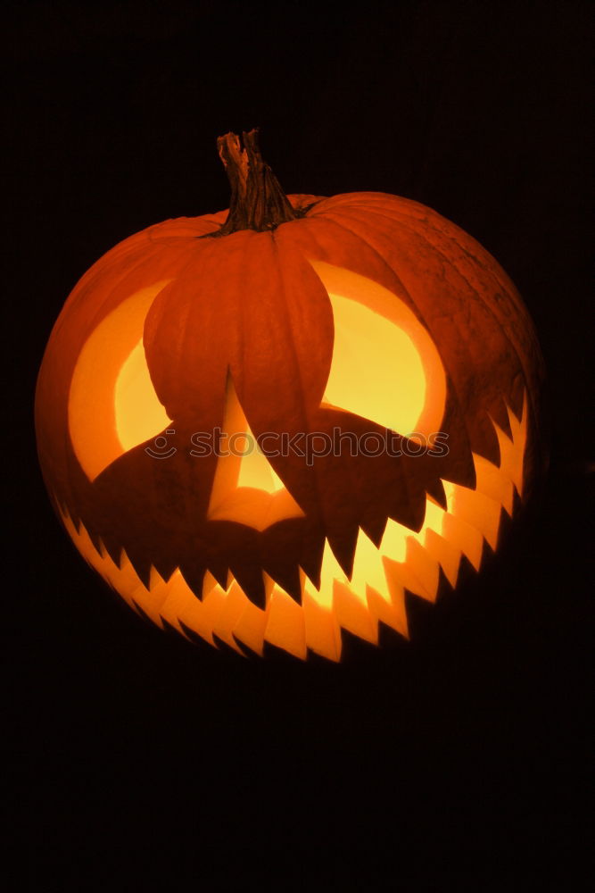 Similar – Image, Stock Photo Shining Pumpkin Face