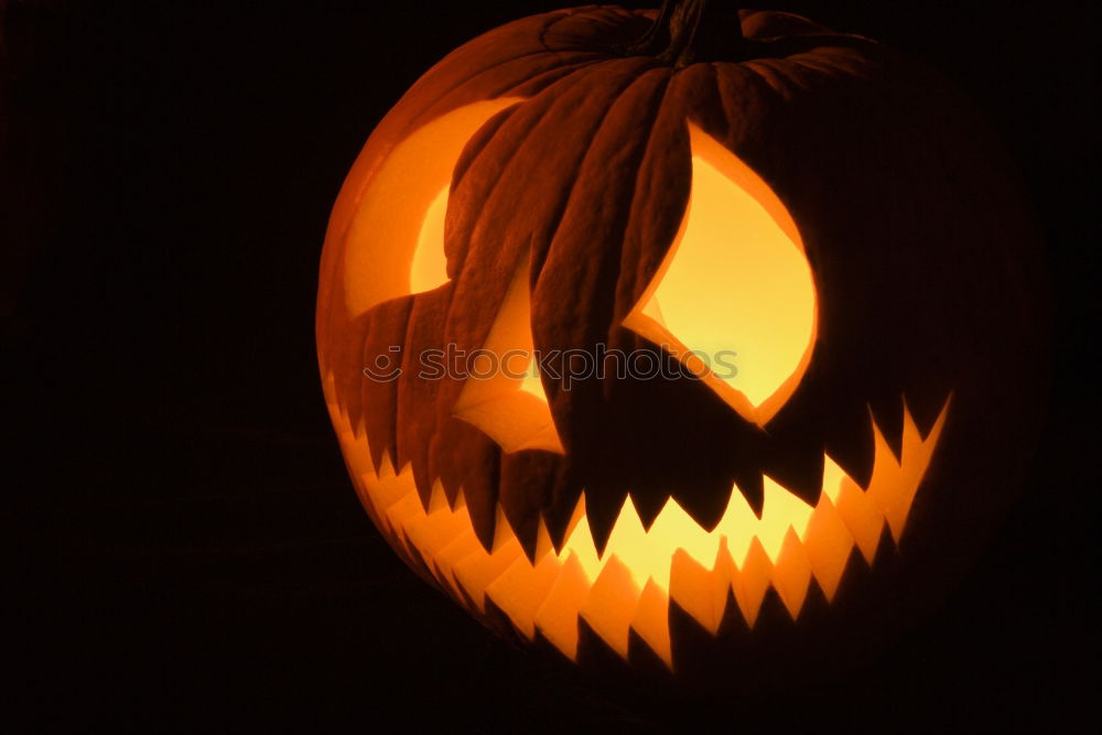 Similar – Image, Stock Photo Shining Pumpkin Face