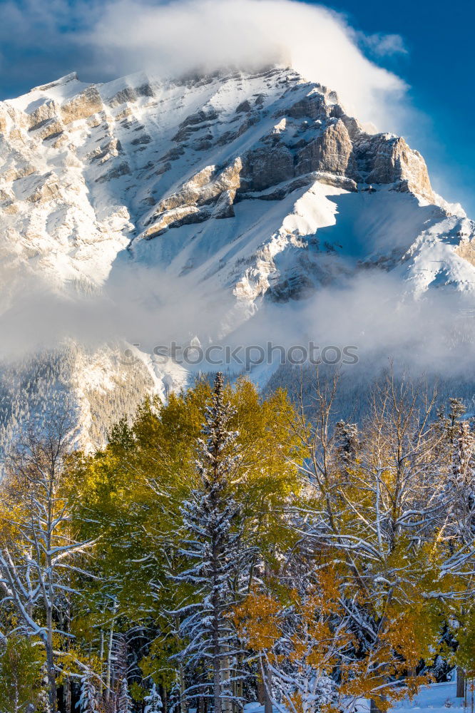 Similar – Image, Stock Photo Autumn forest and snowy mountains