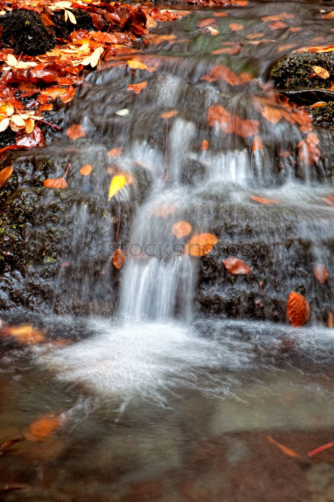 Similar – Image, Stock Photo – autumnal water drifting