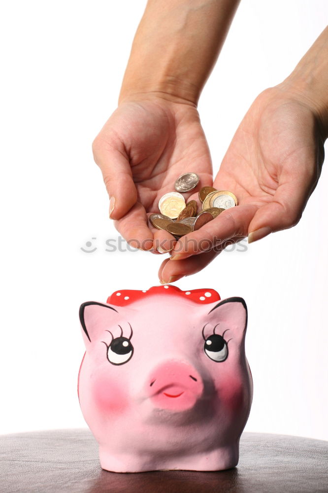 Similar – Red piggy bank Lifestyle