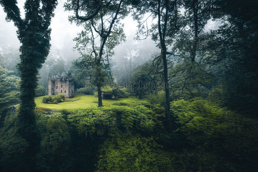 Similar – Image, Stock Photo Lonely empty dilapidated house with forest and mountains