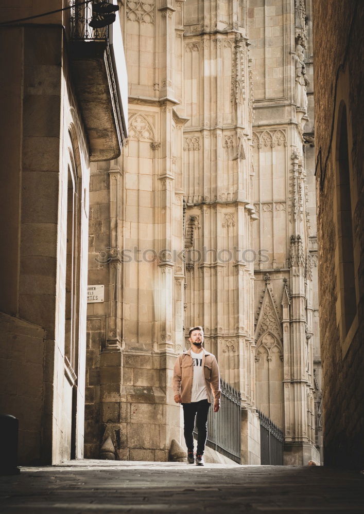 Similar – Image, Stock Photo Cheerful traveler posing at street