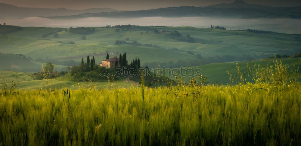 Similar – Val d’Orcia