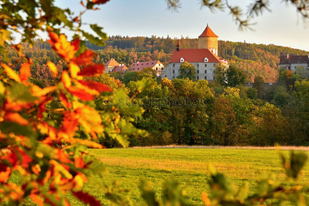 Similar – Image, Stock Photo resin Wernigerode Germany