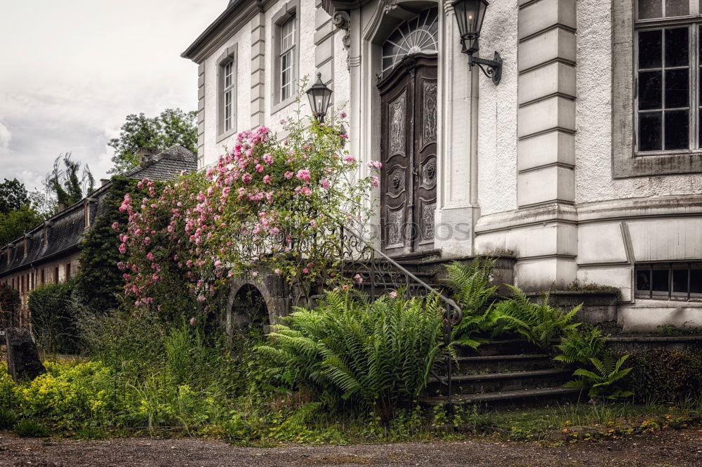 Similar – Babelsberg Castle Luxury