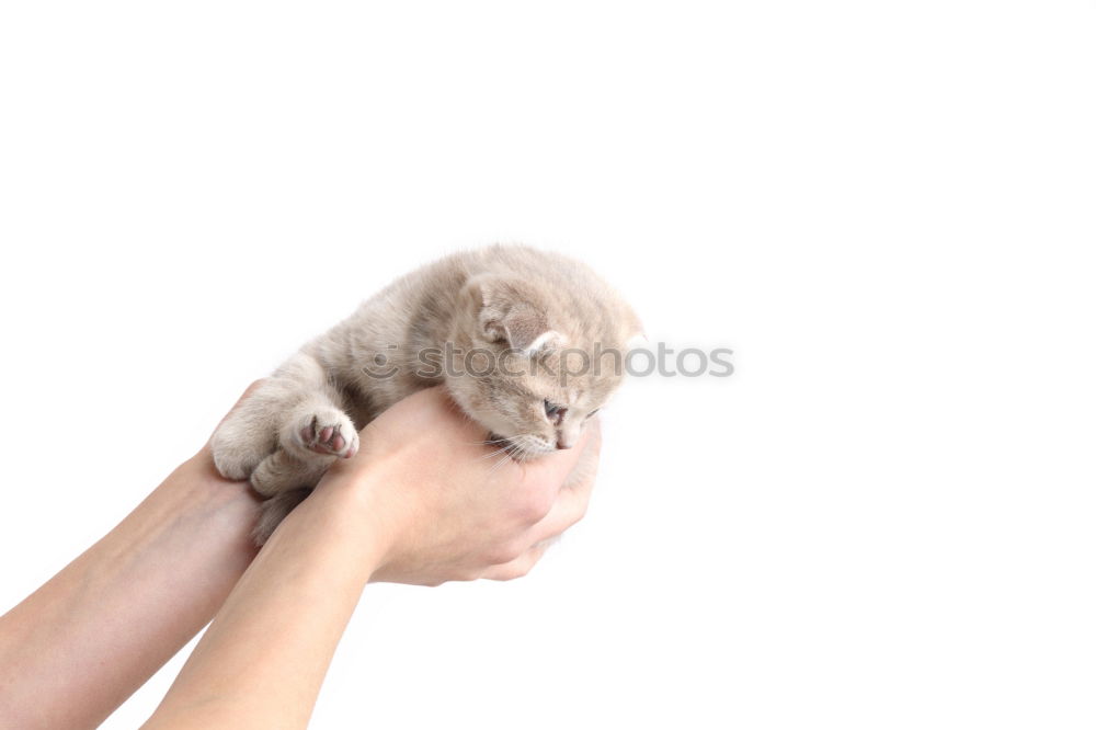 Similar – Image, Stock Photo Sleeping car (2) Child