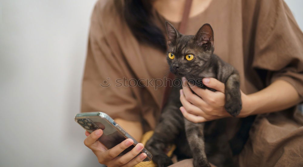 Similar – Image, Stock Photo a cat at you Lifestyle