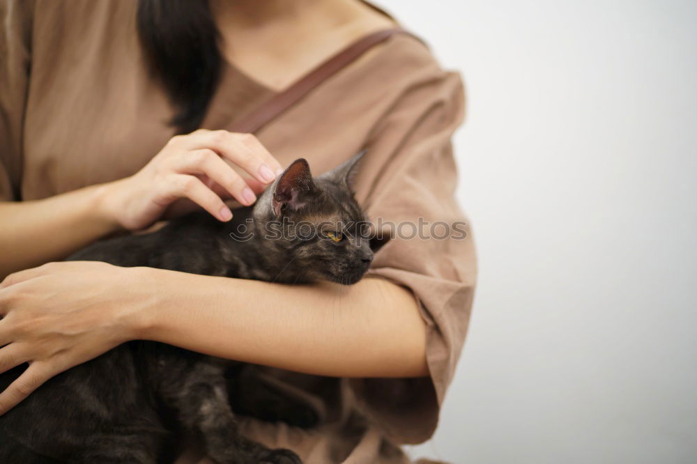 Similar – Young man holding a baby cat with his hands