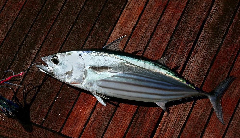 Similar – Image, Stock Photo Fillet charcoal in Alt