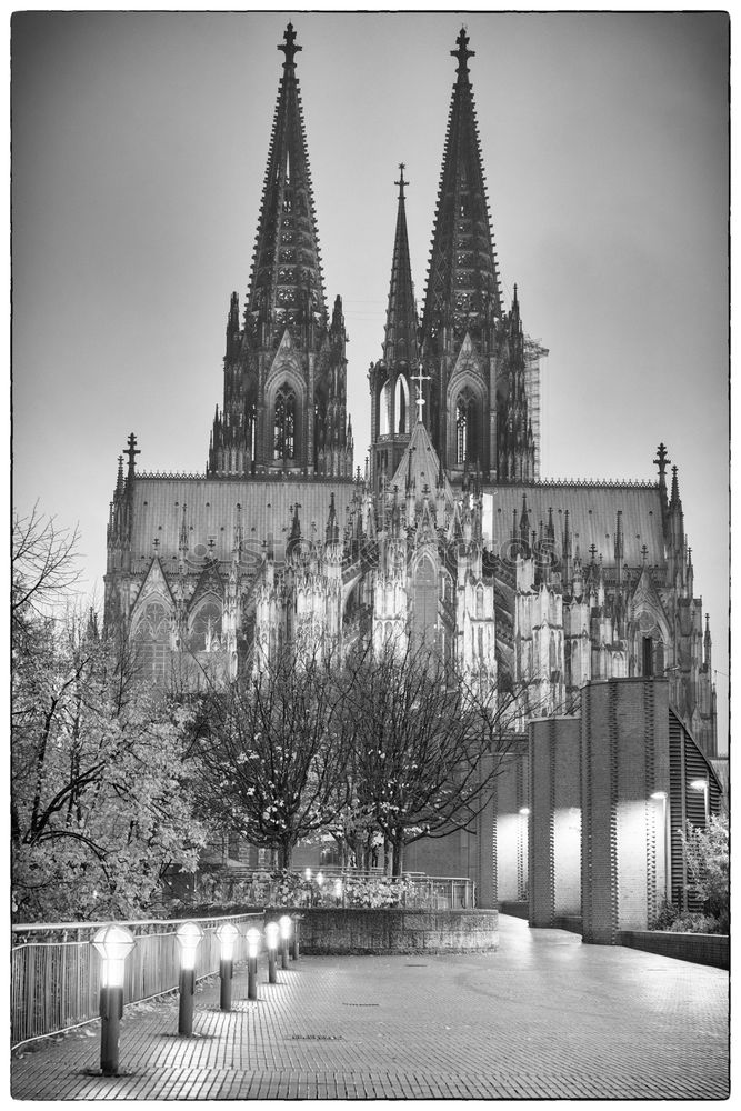 Similar – Schön von hinten Köln