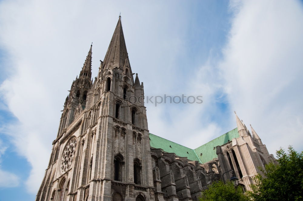 Similar – Image, Stock Photo many rainbow flags of the queer community at the CSD in Cologne. Cologne Cathedral in the background