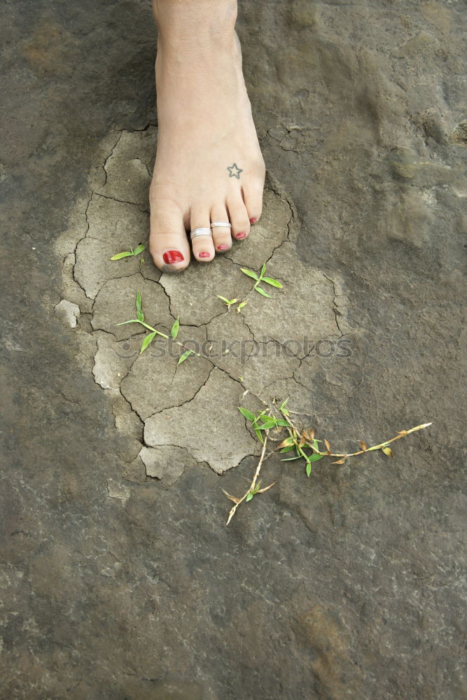 Similar – Dirty muddy bare feet with a pair of water boots on a muddy path