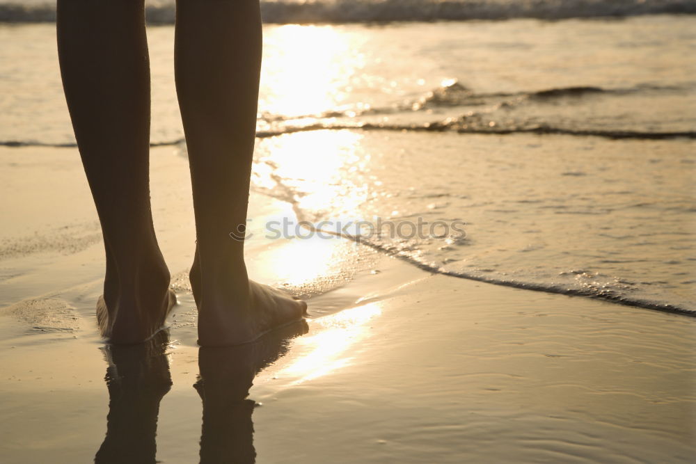 Similar – Image, Stock Photo Clams on the beach Exotic