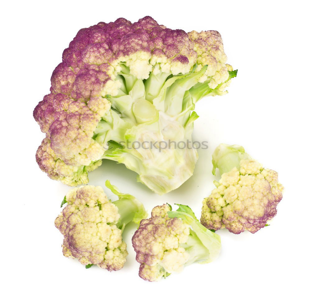 Similar – Foto Bild fractals in veges Brokkoli