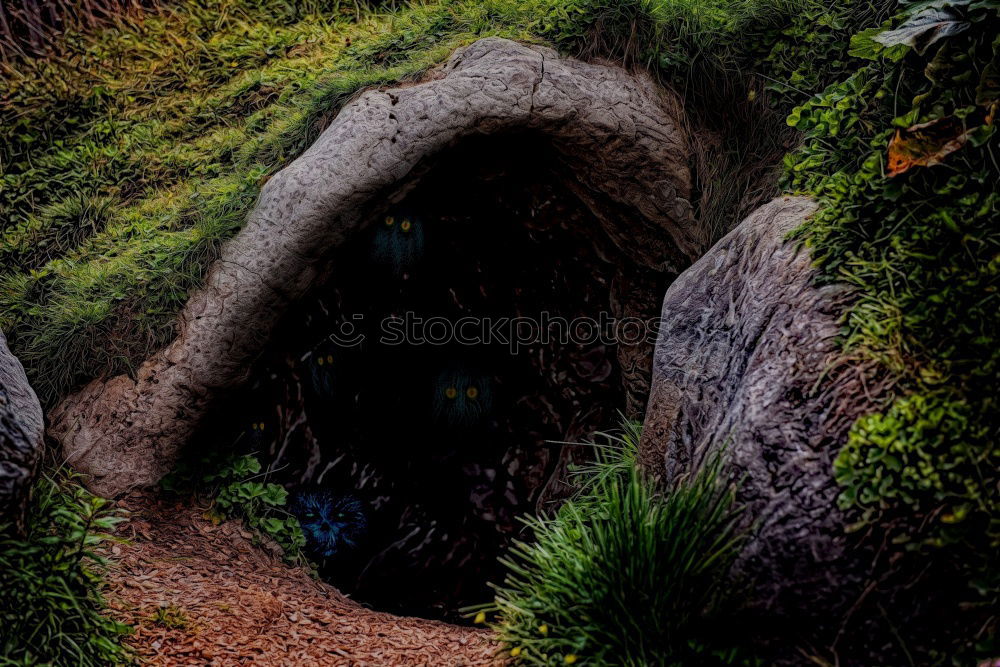 Similar – Image, Stock Photo Cave covered with green moss