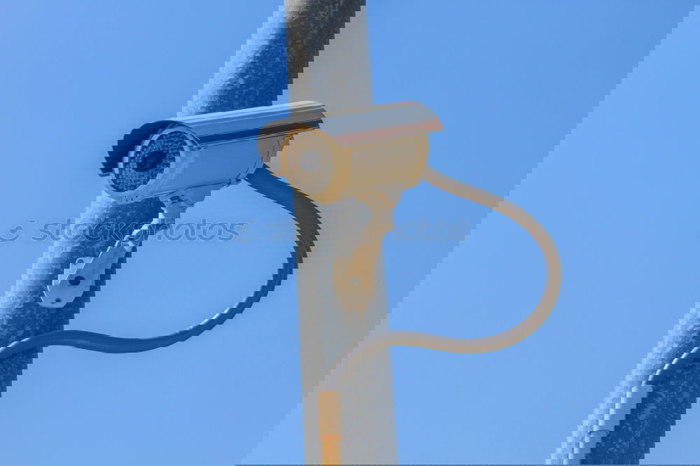Similar – Image, Stock Photo I Love You Lantern