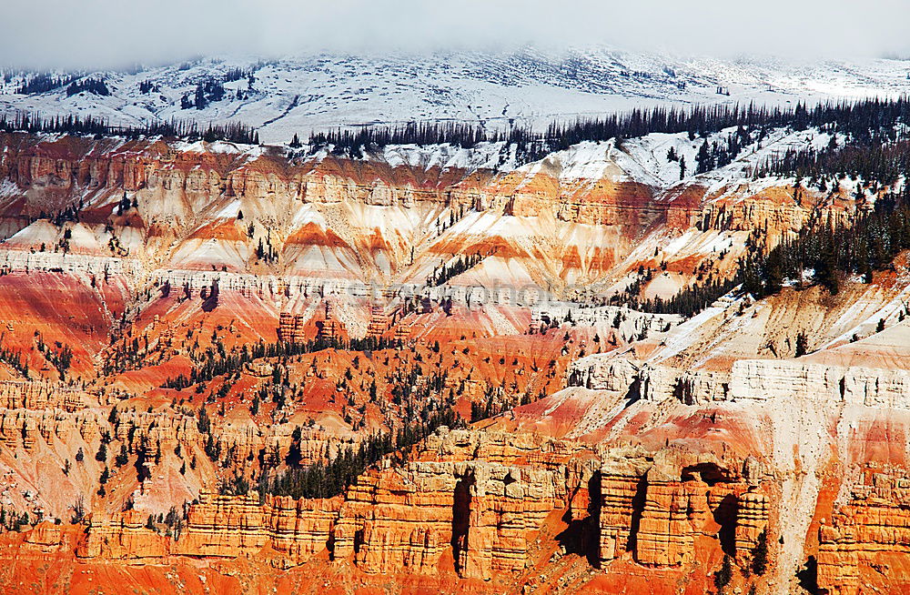 Similar – Foto Bild Cedar Breaks Umwelt Natur