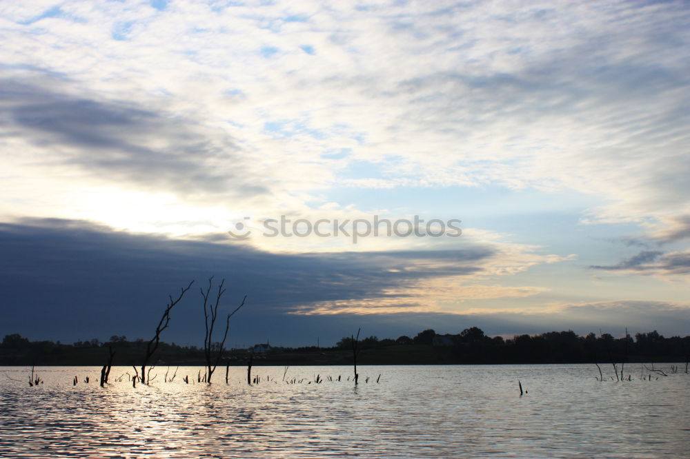 Similar – Weißensee Umwelt Natur