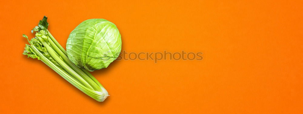 Similar – Image, Stock Photo green tree leaf Plant Leaf