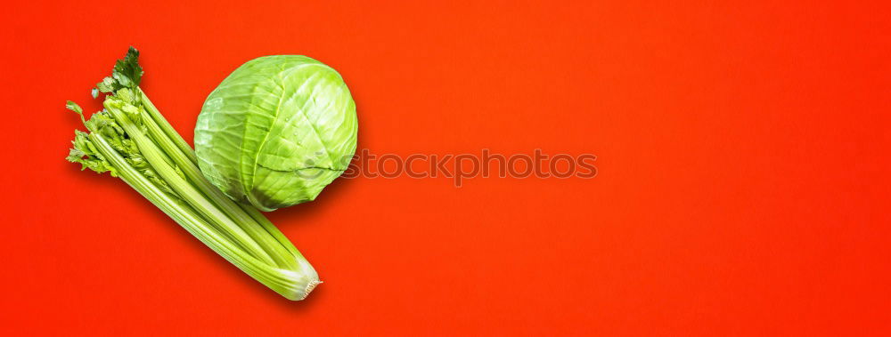 Similar – Image, Stock Photo green tree leaf Plant Leaf