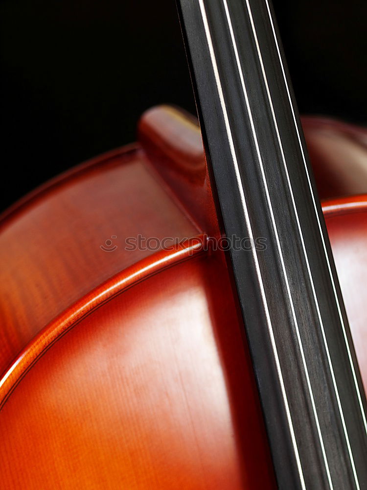 Similar – Image, Stock Photo Violin II Resonator