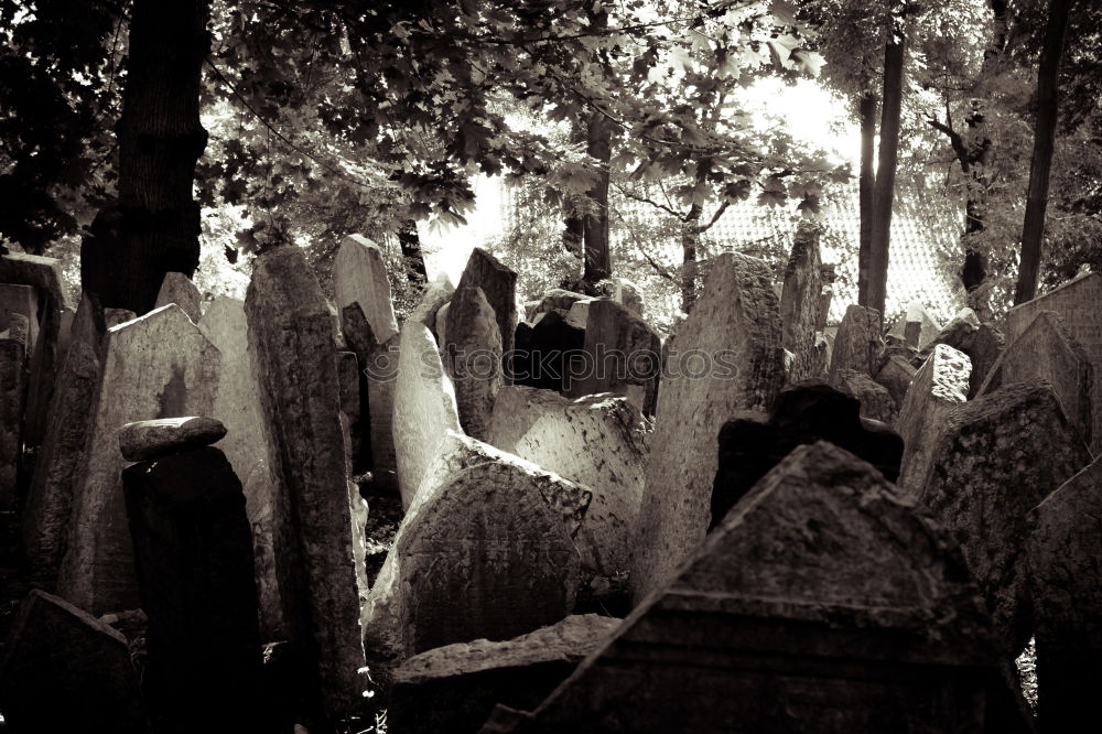 Similar – Jewish Cemetery, Prague