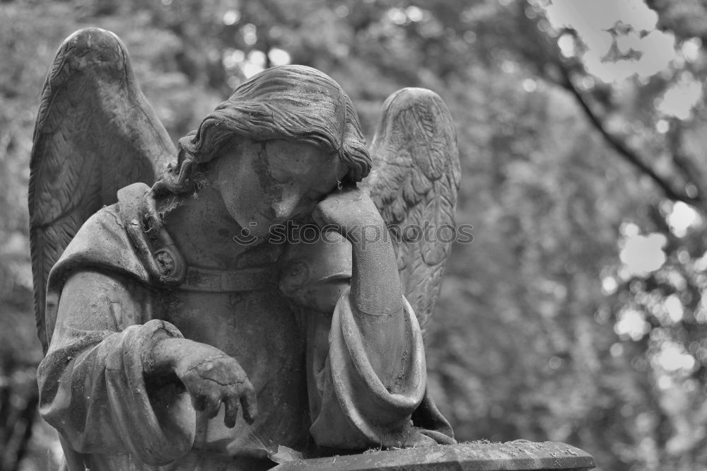 Similar – bereavement Statue Grief