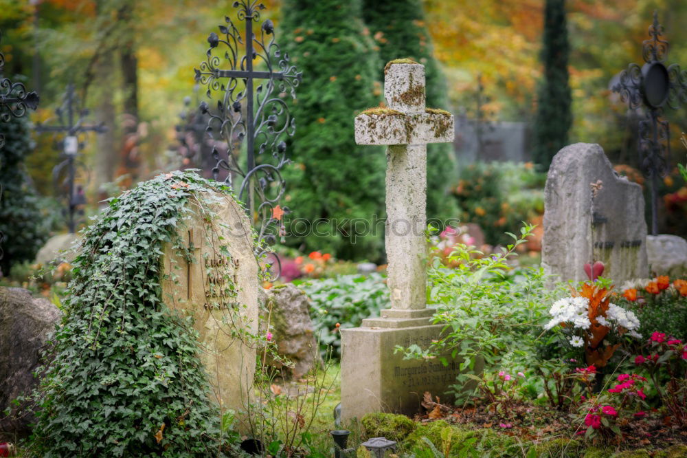 Similar – An old quiet graveyard in Macao, China