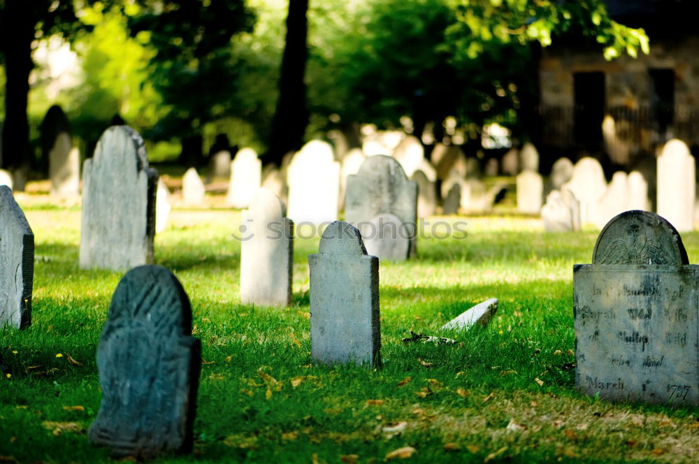 R.I.P. Death Cemetery