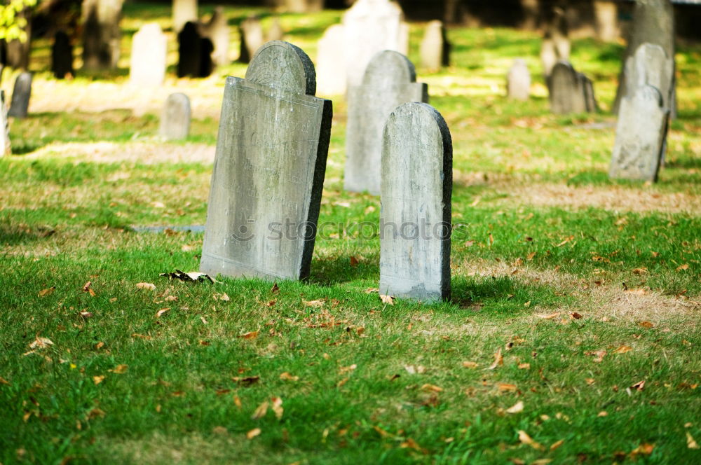 gravestones Tombstone