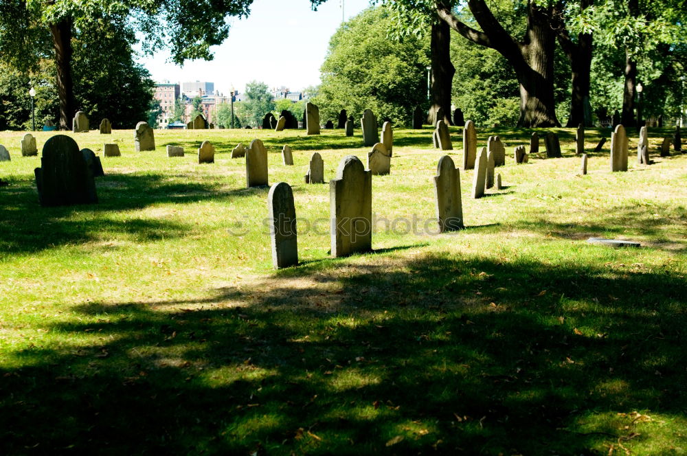 Similar – Image, Stock Photo green watering can at the cemetery