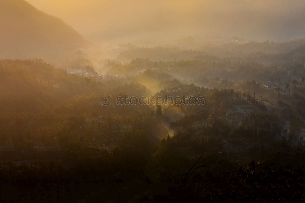 Similar – Golden morning in Tuscany