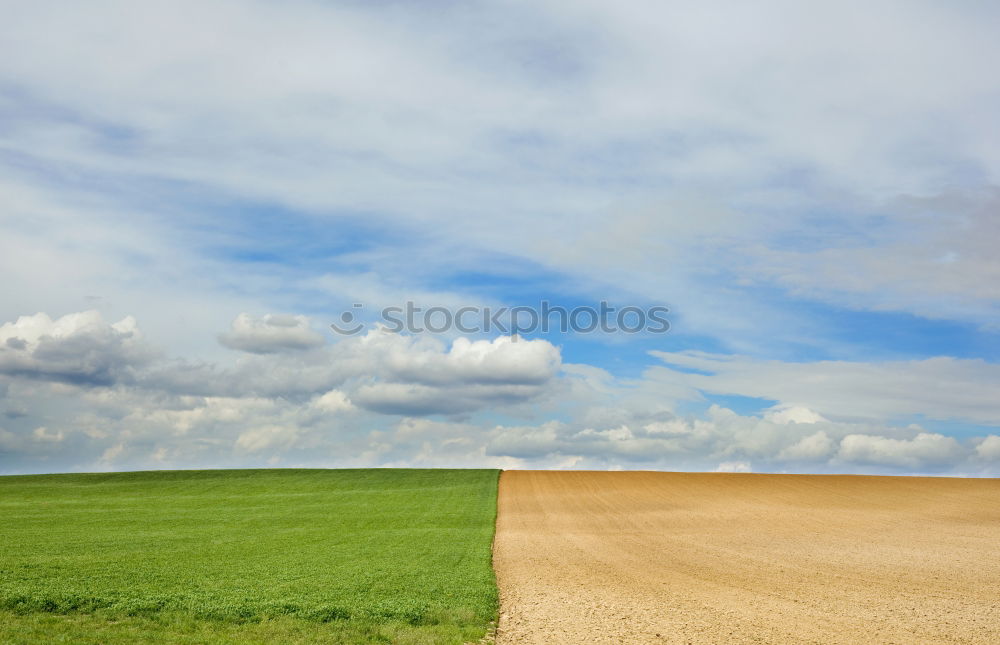 Similar – Image, Stock Photo It’s the most beautiful outdoors.