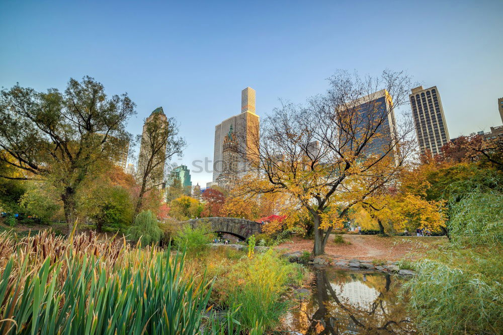 Similar – Central Park, New York