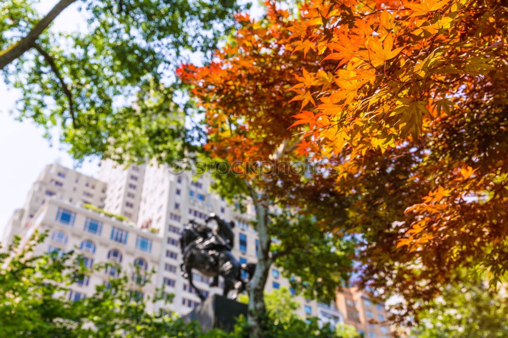 Similar – Image, Stock Photo Autumn is here Environment