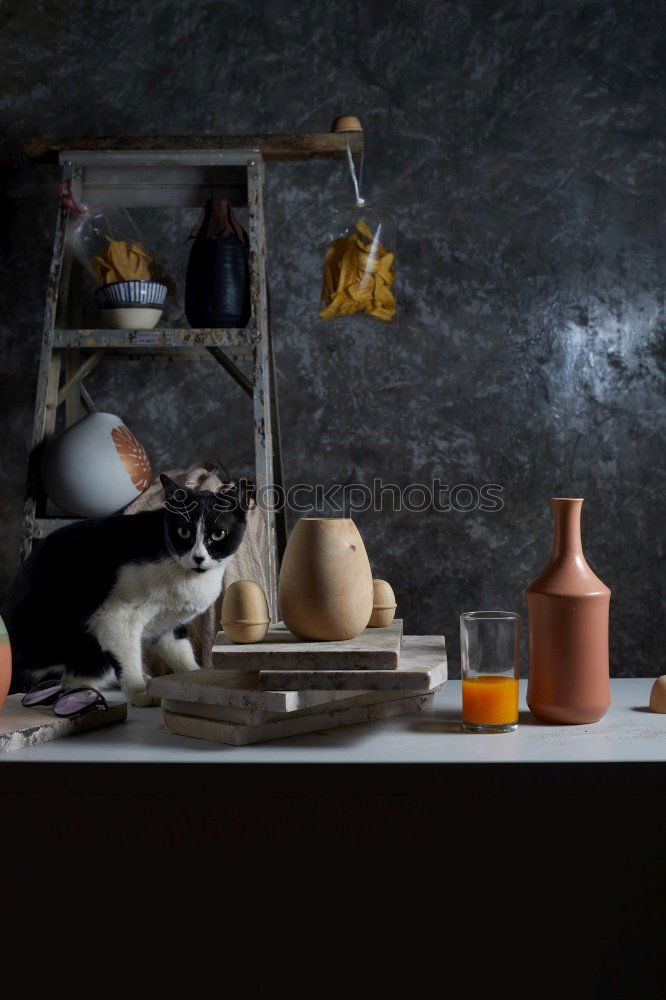 pottery shelf Pot Cup Mug