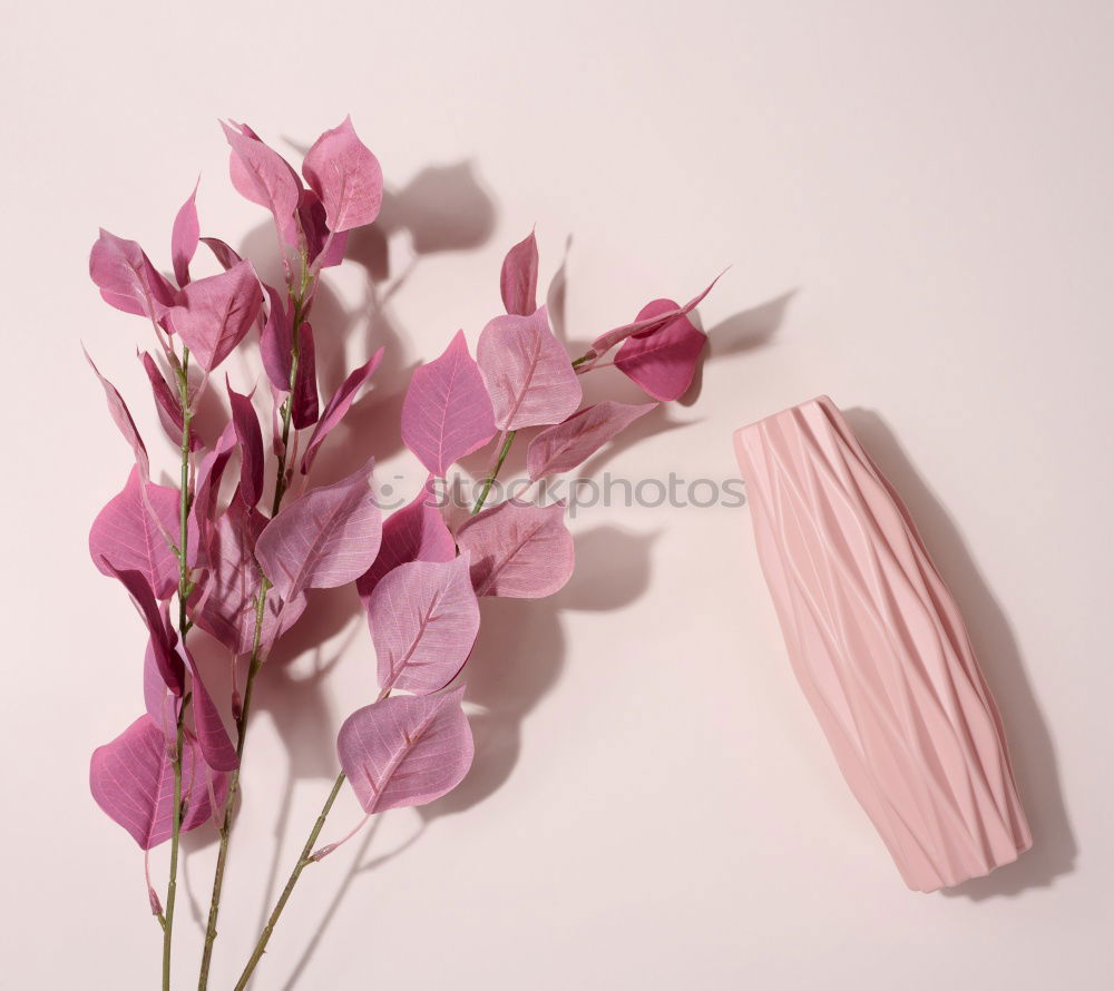 Similar – Image, Stock Photo Flat lay of beauty skincare products for mock up