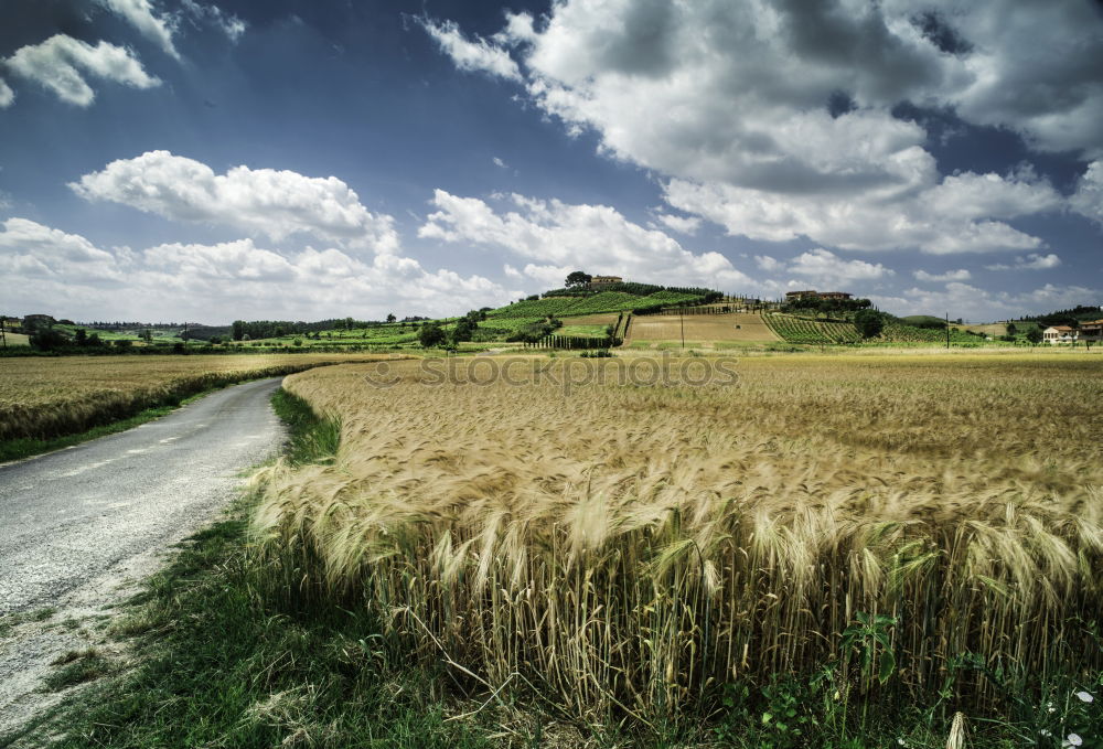 Similar – Image, Stock Photo from the field Landscape