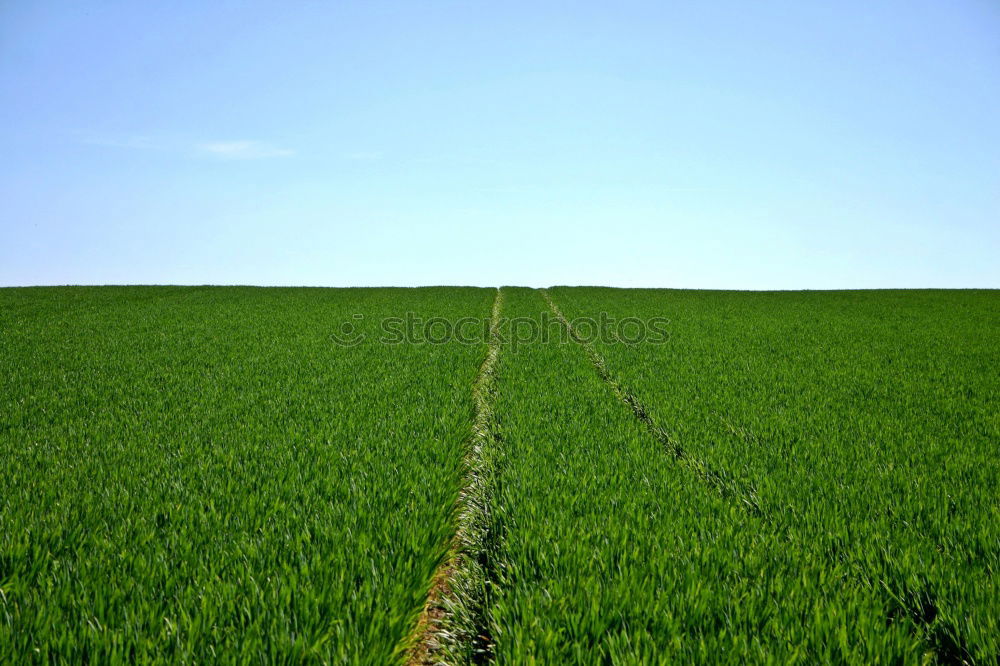 Similar – Image, Stock Photo Tyre tracks in spring