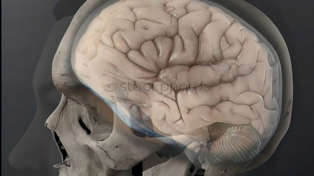 Similar – Image, Stock Photo brain